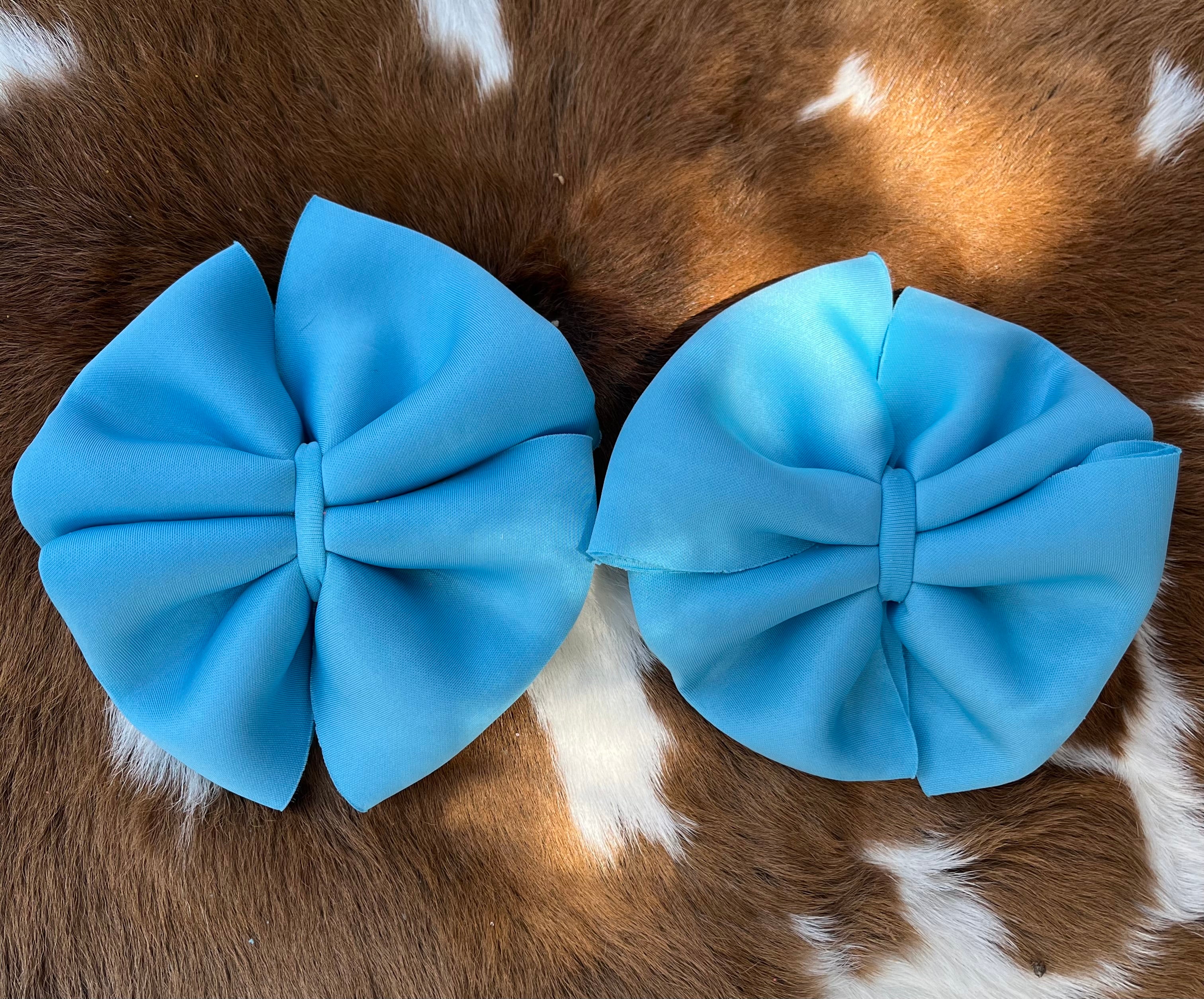 Blue clip ons