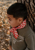 Red Checkered wild rag