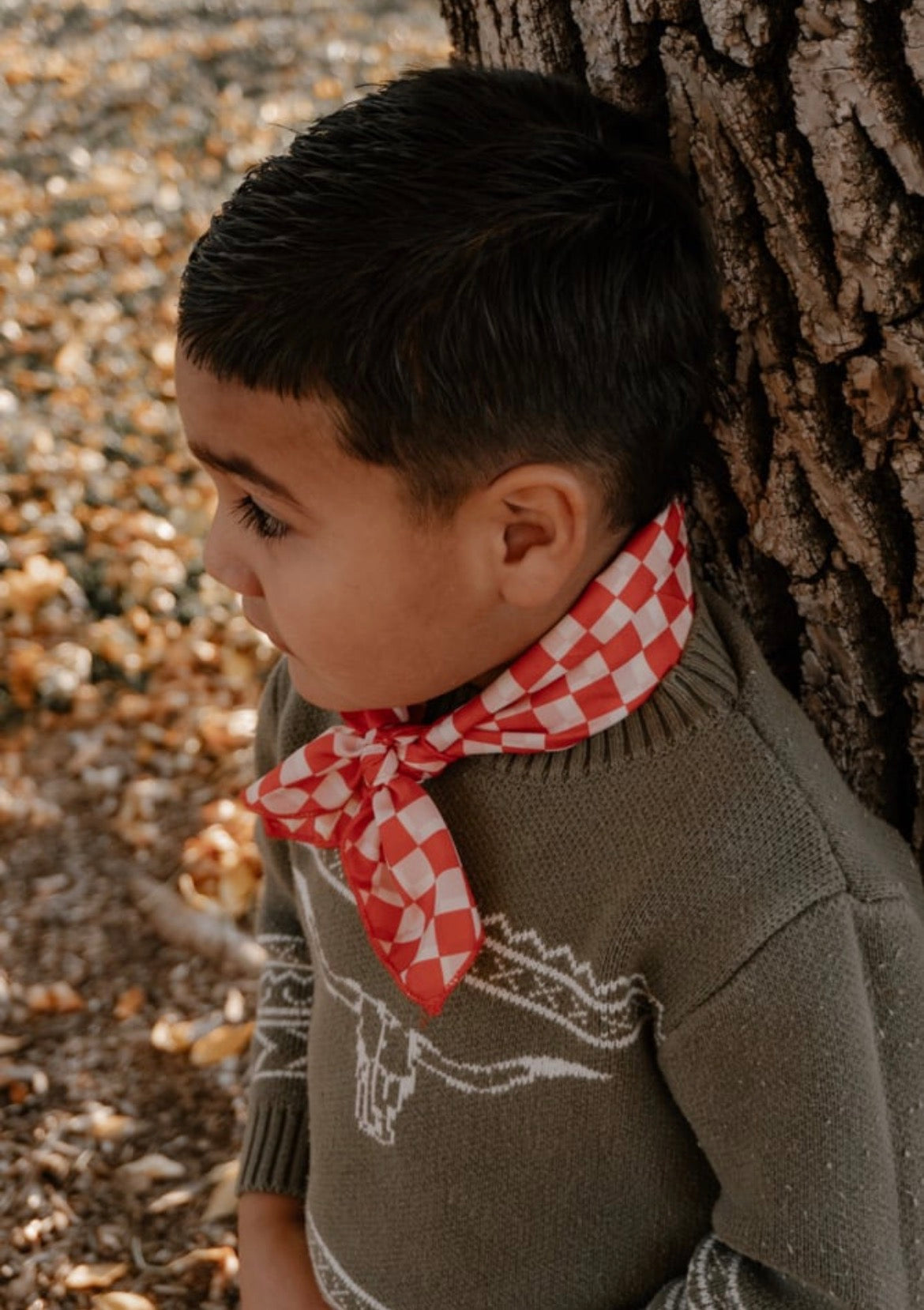 Red Checkered wild rag