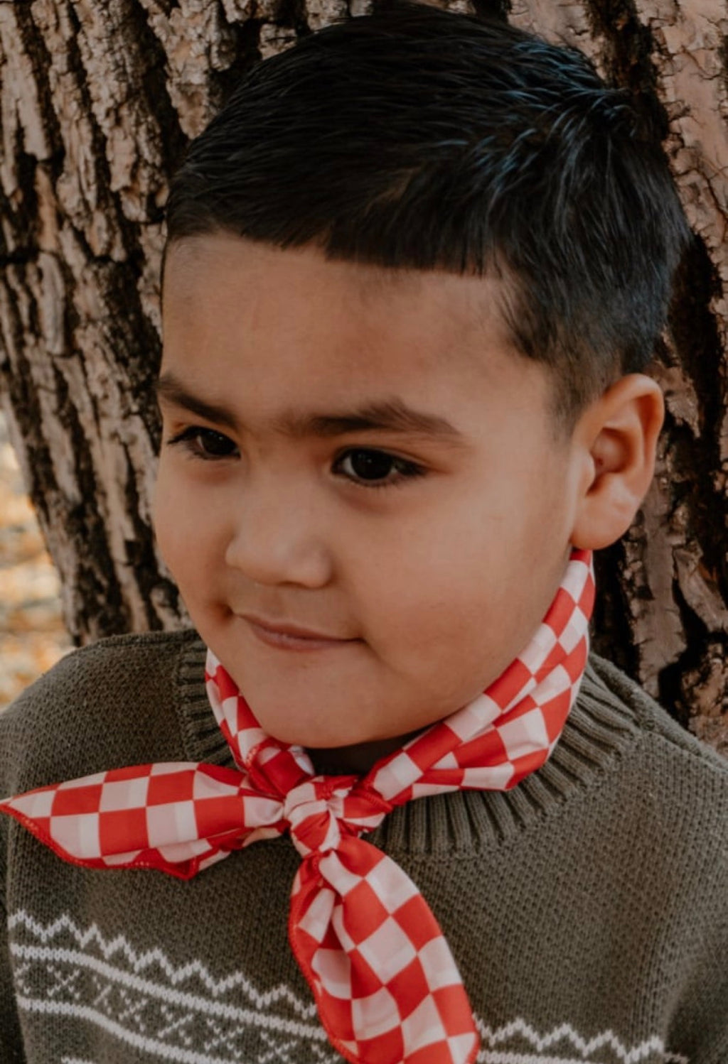 Red Checkered wild rag