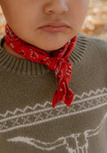 Red Bandana Wild rag
