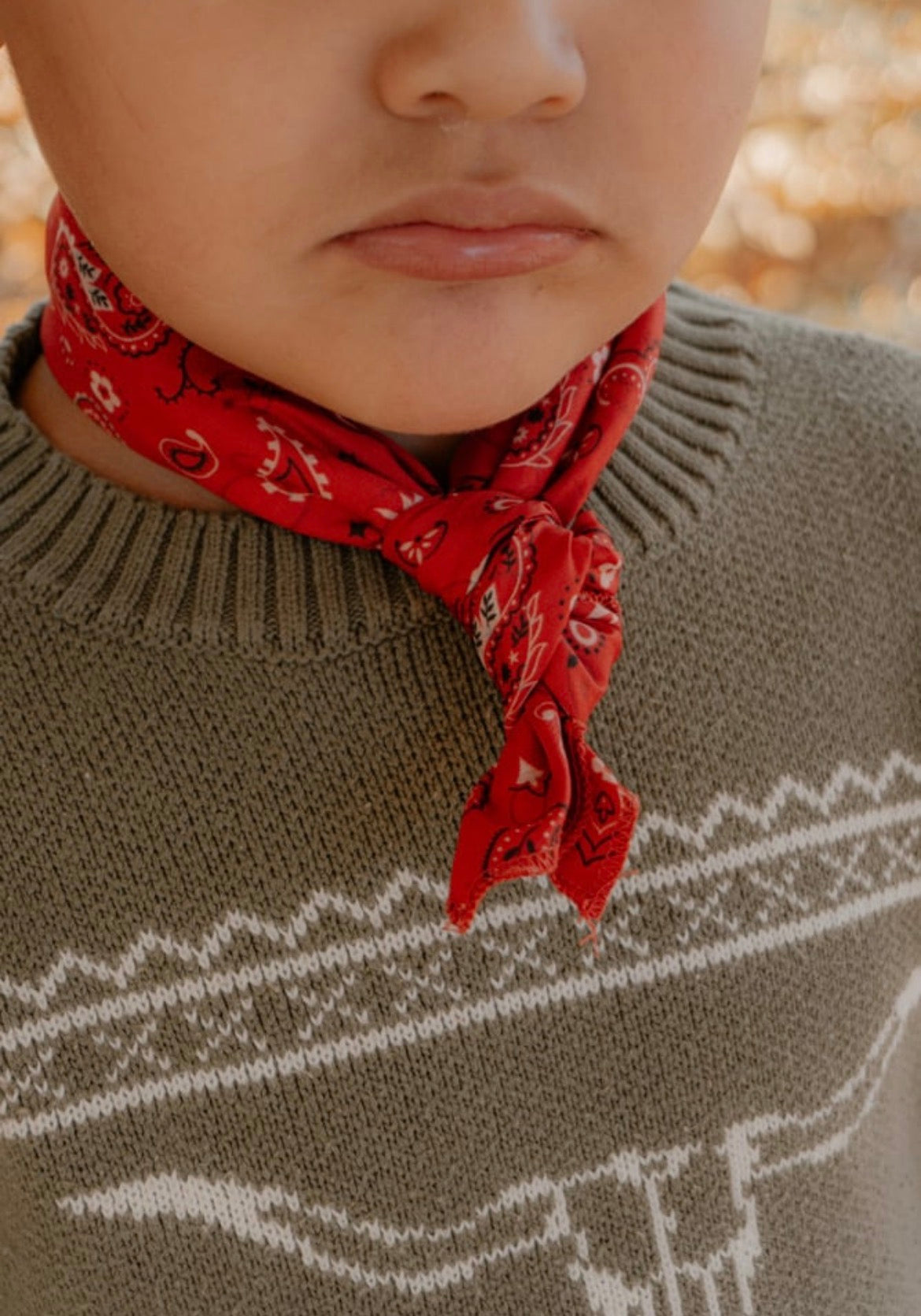 Red Bandana Wild rag