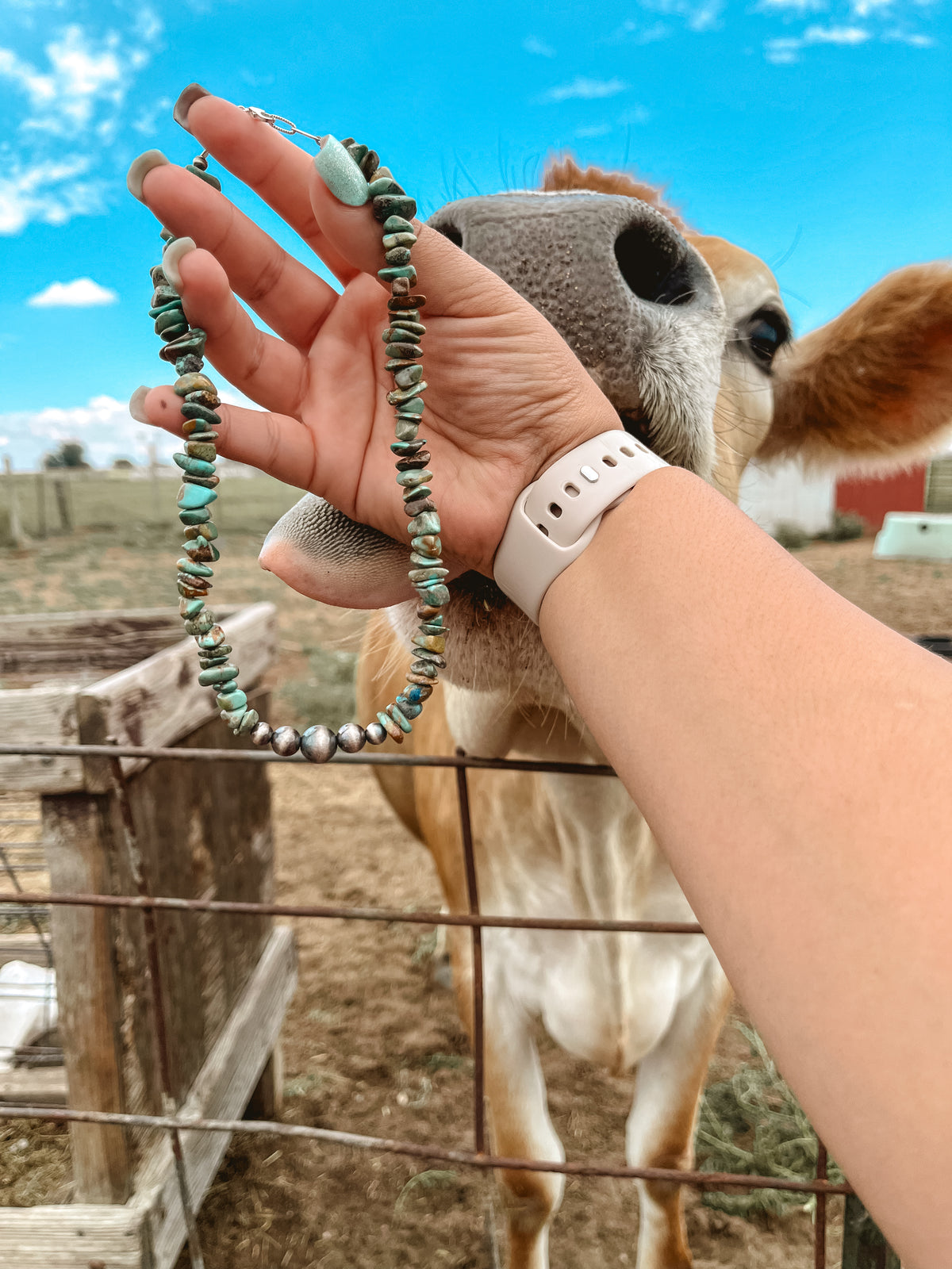 Turquoise nugget & graduated sterling pearl necklace
