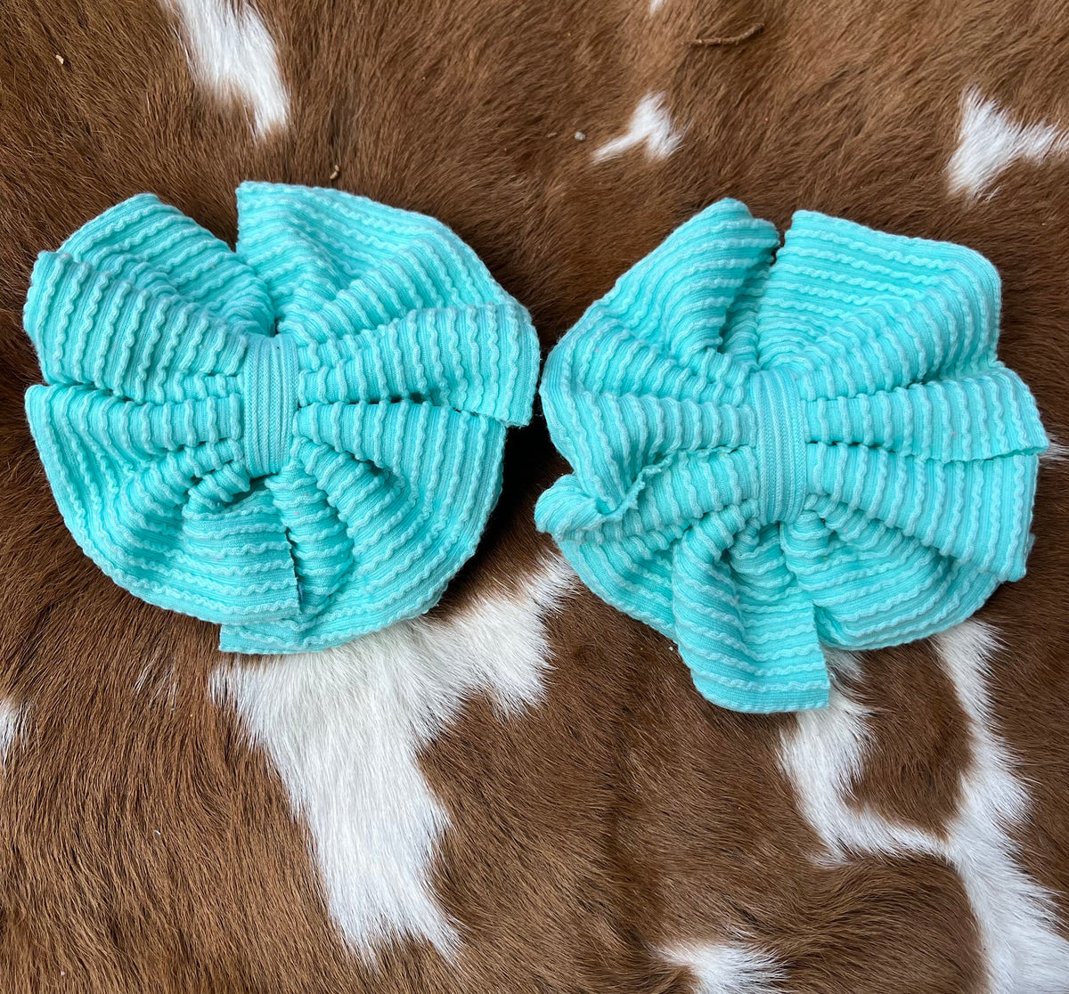 Blue Aqua Clip ons